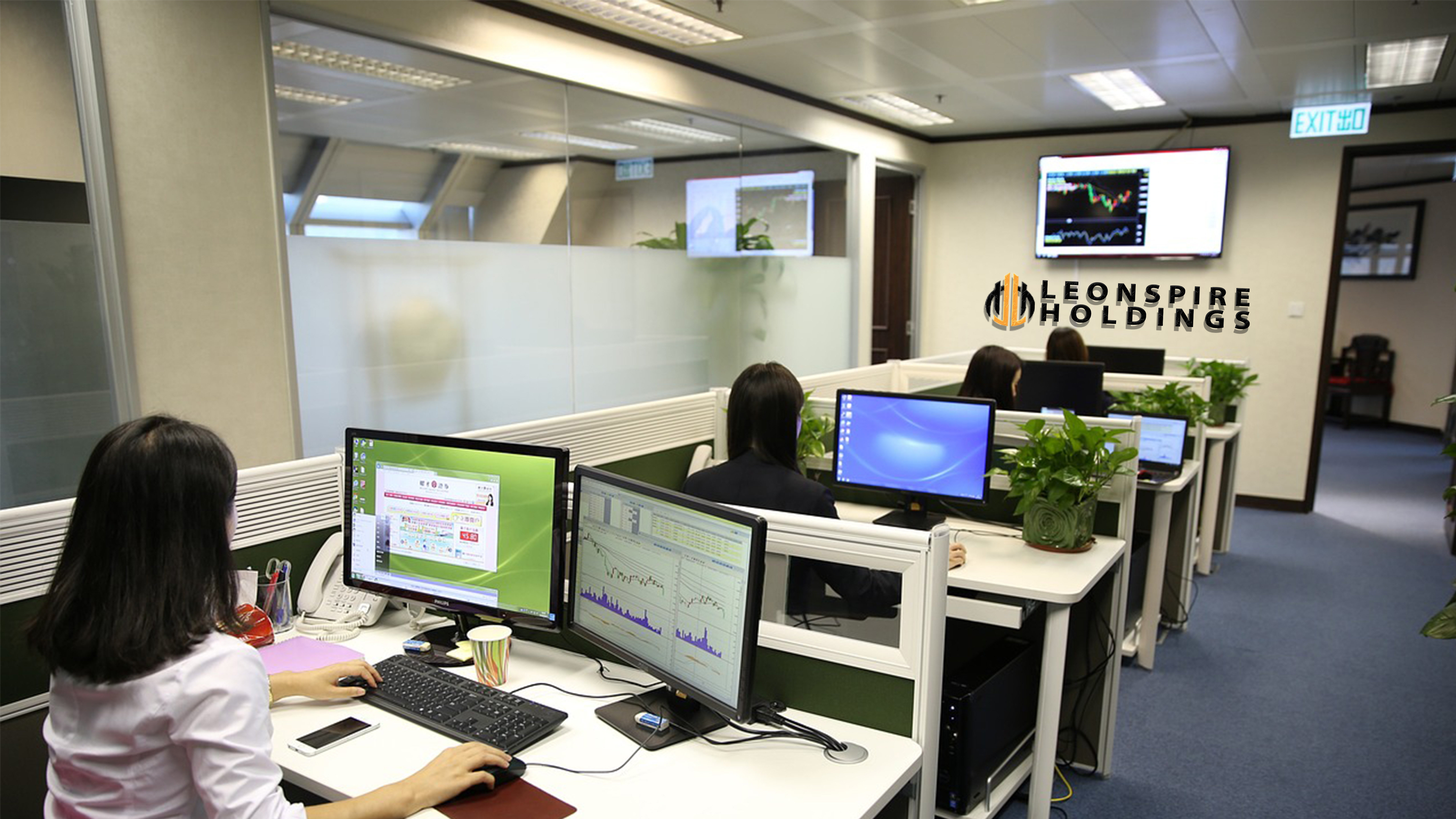 Leonspire Holdings Investment